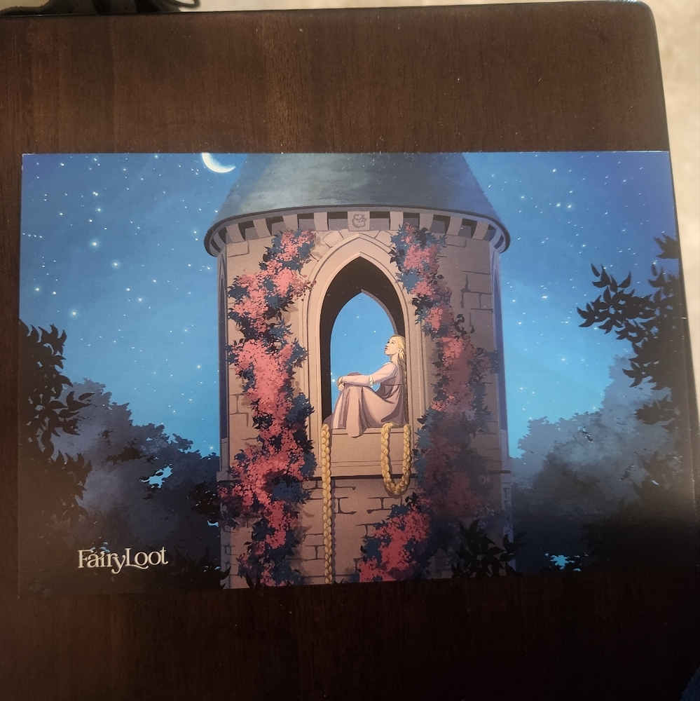 FairyLoot Art Print